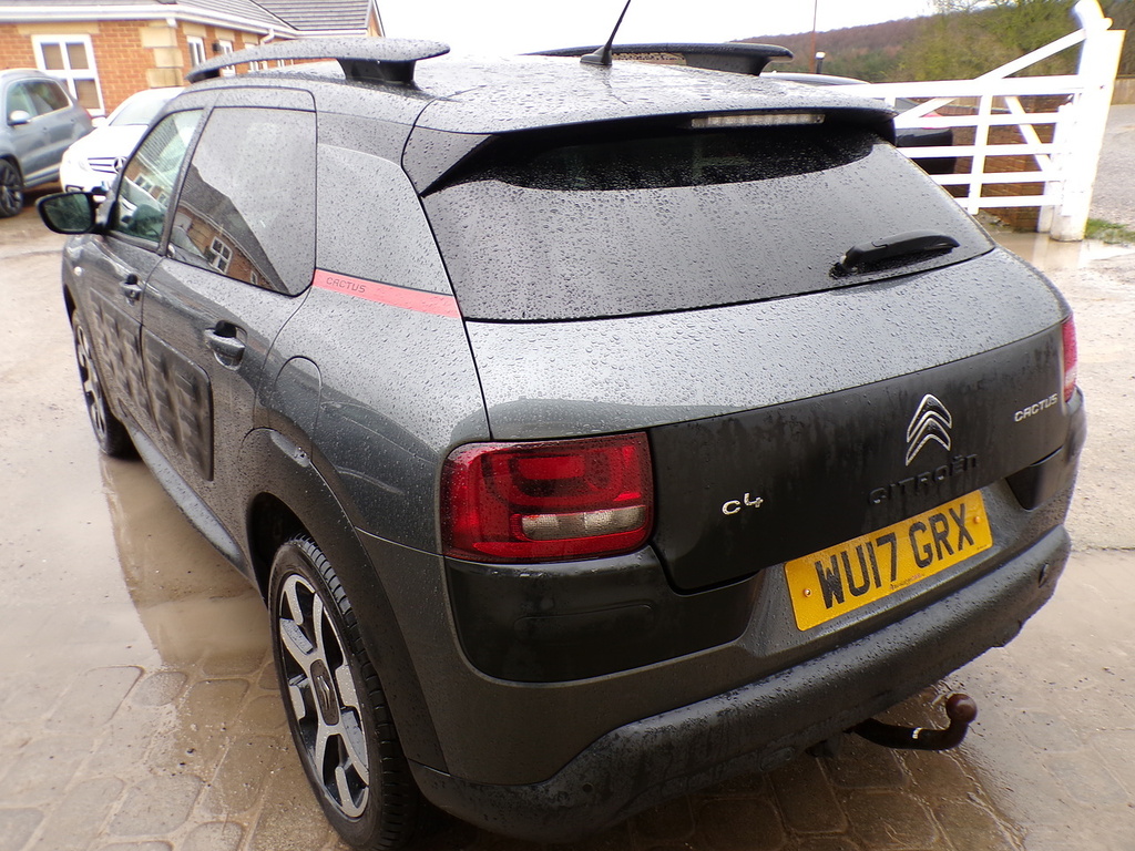 Citroen C4 Cactus Bluehdi Flair Edition WU17GRX Grey #6