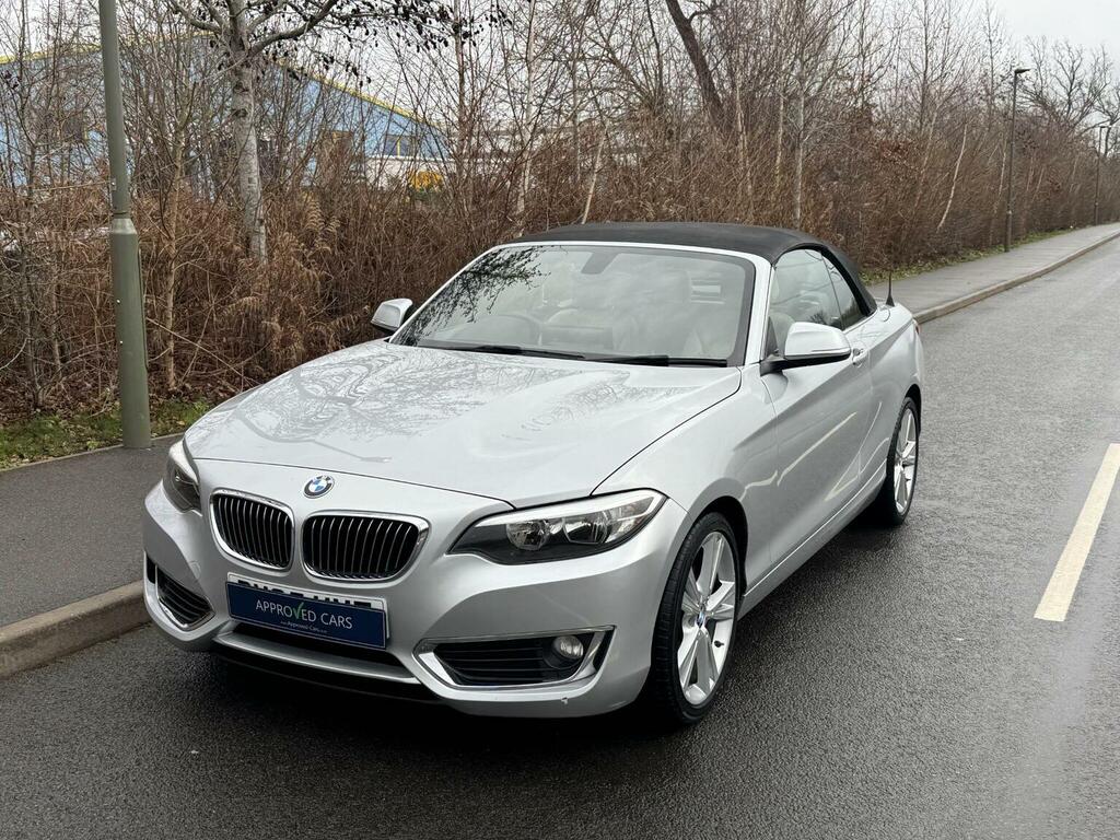 BMW 2 Series Convertible 2.0 220I Luxury Euro 6 Ss Silver #5