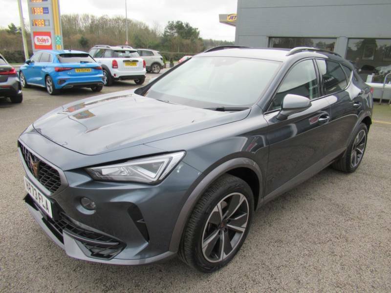 Cupra Formentor 2.0 Tsi 190 V1 Dsg 4Drive - 2024 73 Grey