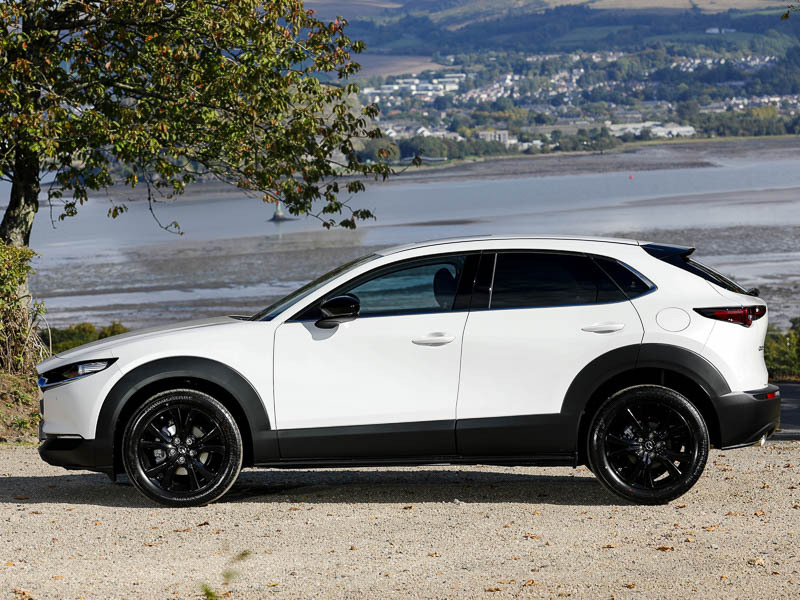 Mazda CX-30 2.5 E-skyactiv G Mhev 140 Homura   #4