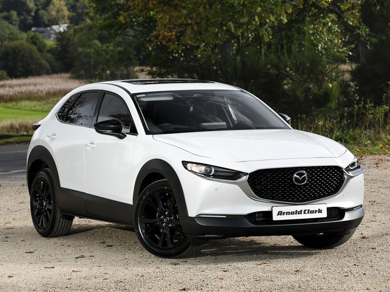 Mazda CX-30 2.5 E-skyactiv G Mhev 140 Homura 