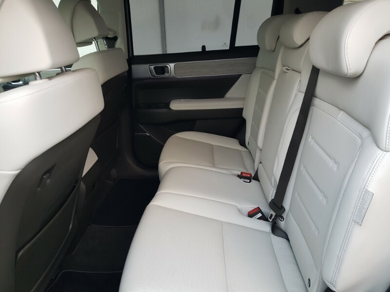 Hyundai Santa Fe 1.6 Tgdi Plug-in Hybrid Ultimate 4Wd SB25WUG Green #6