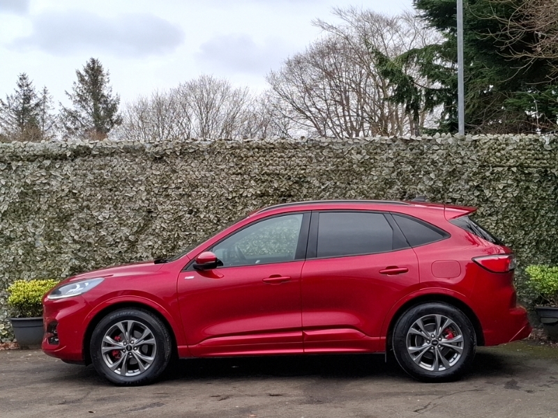 Ford Kuga 2.5 Fhev St-line Edition Cvt NC24ZBL Red #4