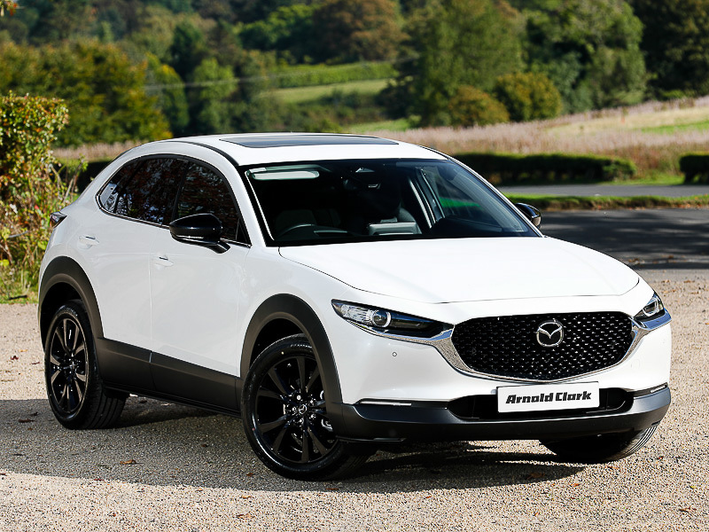 Mazda CX-30 2.5 E-skyactiv G Mhev 140 Homura White