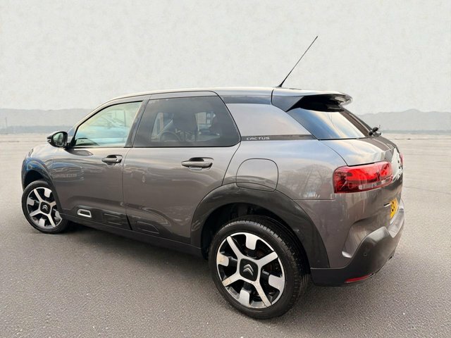 Citroen C4 Cactus 1.6 Bluehdi Flair Hatchback VE18FKN Grey #4