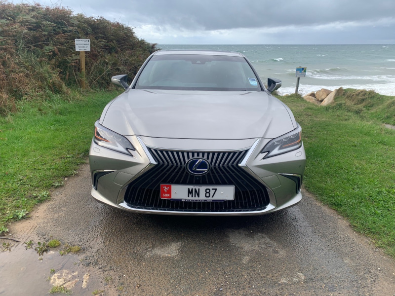 Lexus ES 300H 2.5 Takumi Cvt - 2019 69 Silver #2
