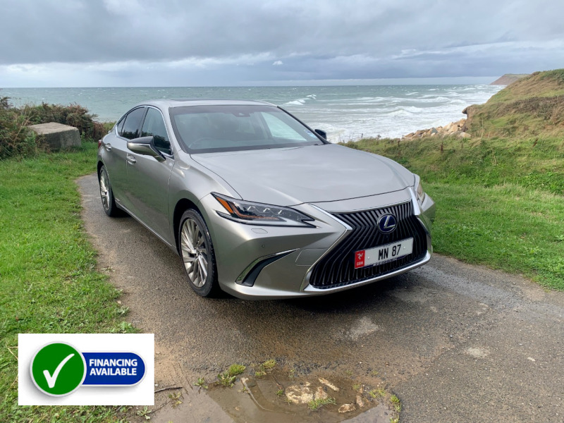 Lexus ES 300H 2.5 Takumi Cvt - 2019 69 Silver