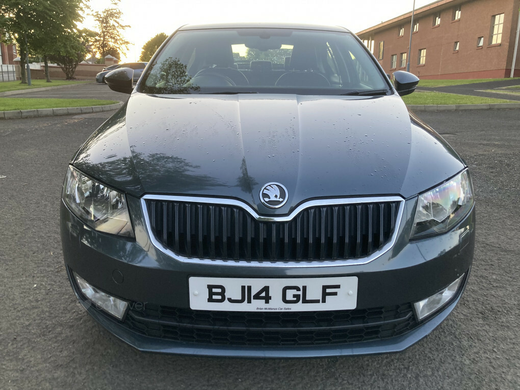Skoda Octavia Elegance Tdi Cr Grey #6