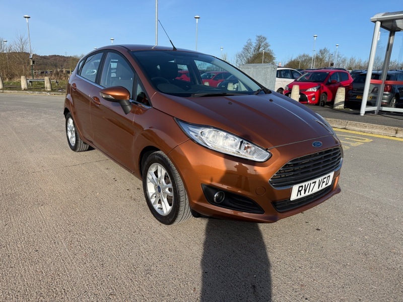 Ford Fiesta Zetec Brown #2