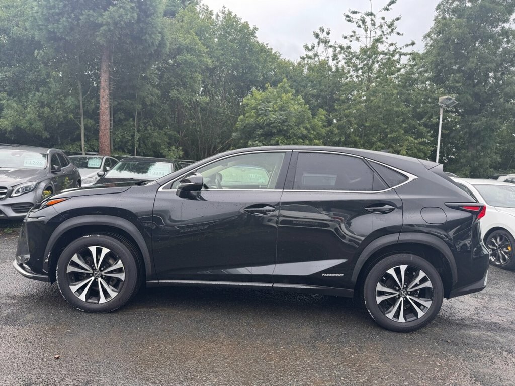 Lexus NX 2.5L Null SC71LLN Black #4