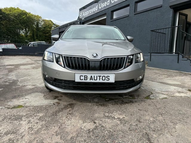 Skoda Octavia 2017 1.0 Tsi Se Hatchback Euro 6 Beige #2