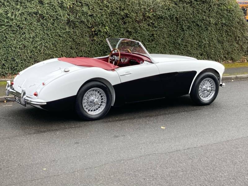 Austin-Healey All Models 1006 - 1959 21 Black #5