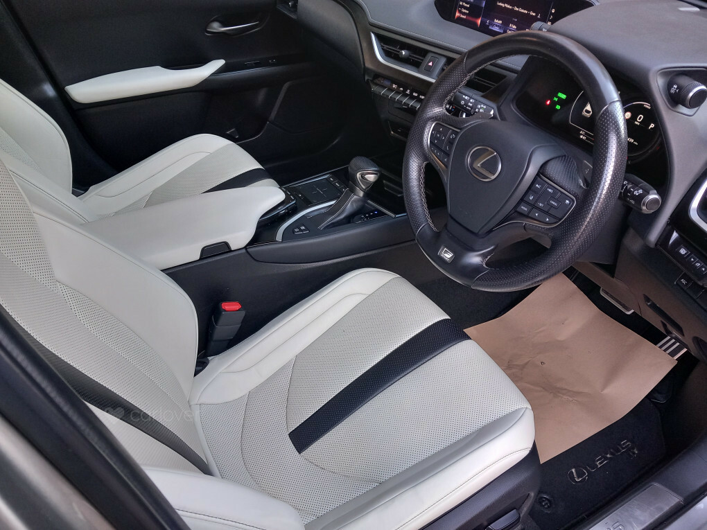 Lexus UX D4 Awd R-design Lux Nav Grey #19