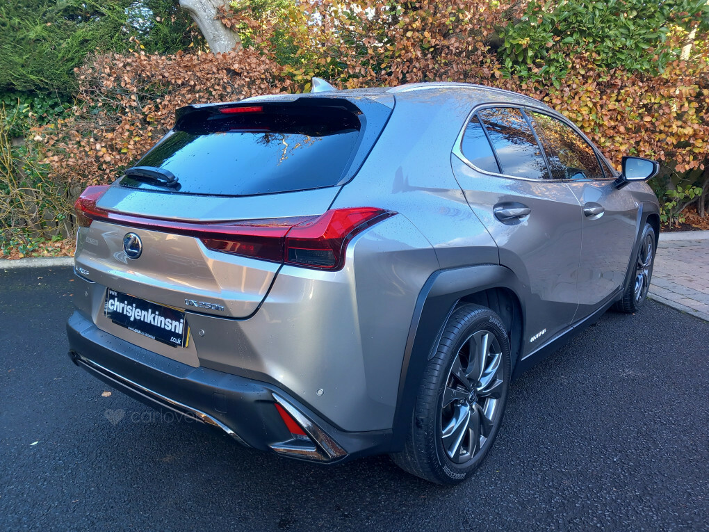 Lexus UX D4 Awd R-design Lux Nav Grey #9
