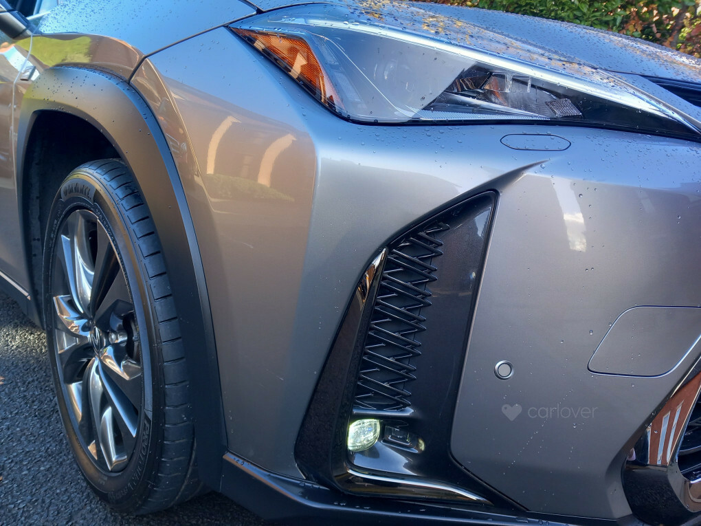 Lexus UX D4 Awd R-design Lux Nav Grey #6