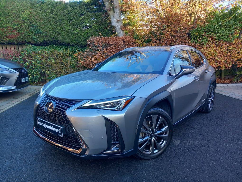 Lexus UX D4 Awd R-design Lux Nav Grey #2