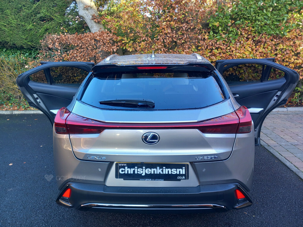 Lexus UX D4 Awd R-design Lux Nav Grey #10