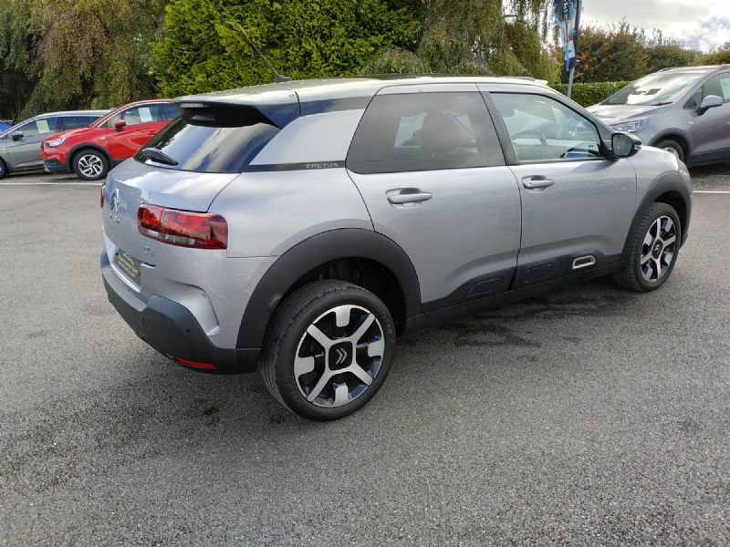 Citroen C4 Cactus Flair 1.5Bluehdi S S FD19AZC Grey #5