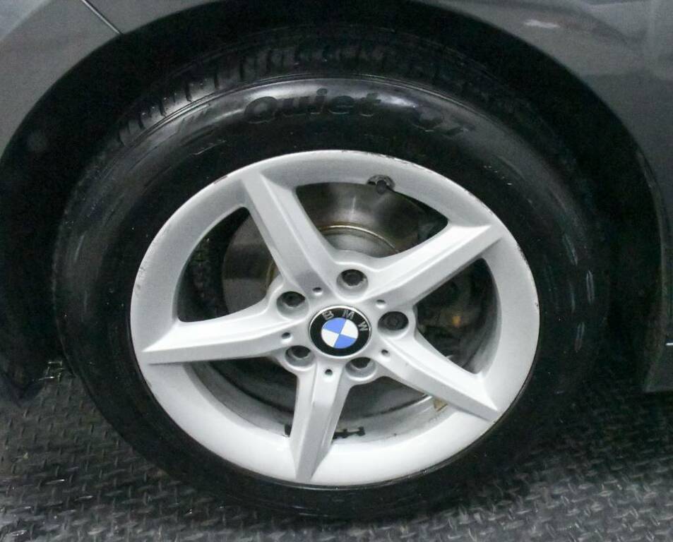 BMW 1 Series Hatchback 116D Se Business Grey #5
