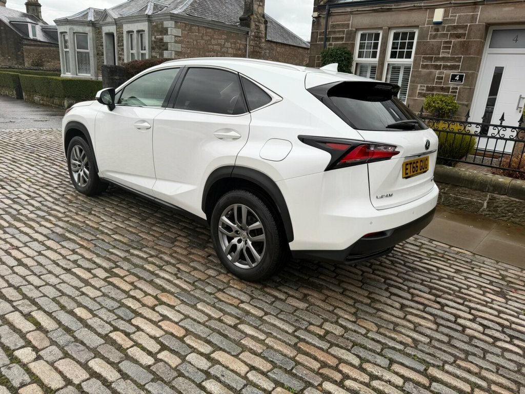 Lexus NX 300H Luxury ET66GUG White #6