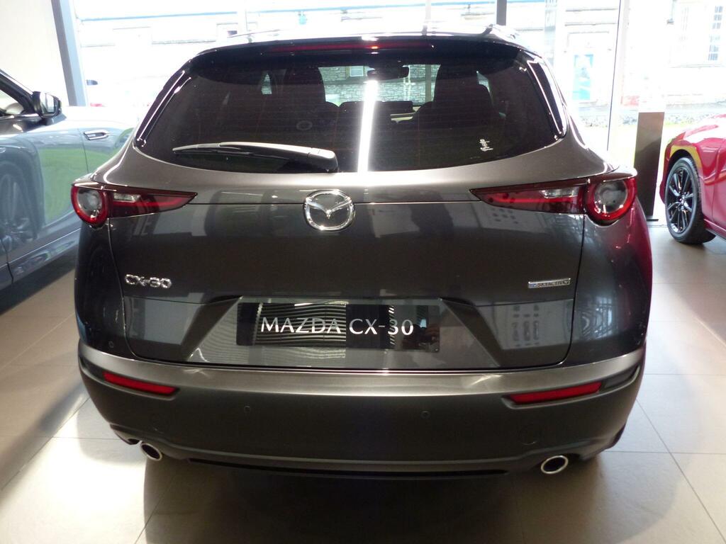 Mazda CX-30 2.5 E-skyactiv G Mhev Takumi Euro 6 Ss Grey #3