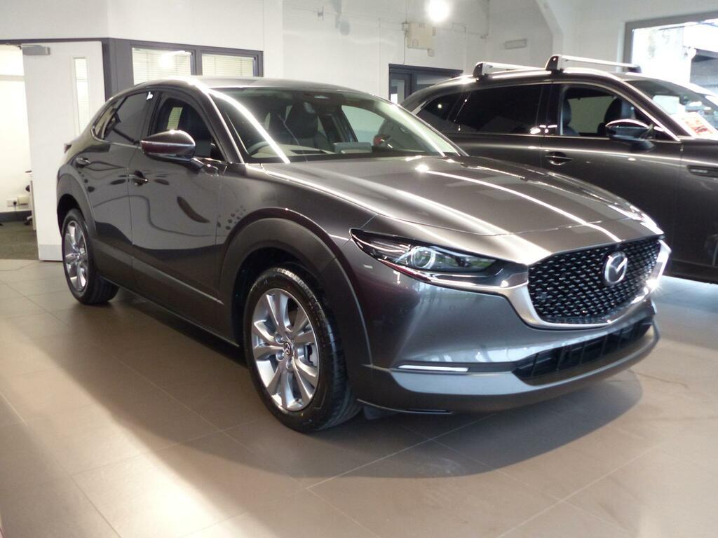 Mazda CX-30 2.5 E-skyactiv G Mhev Takumi Euro 6 Ss Grey