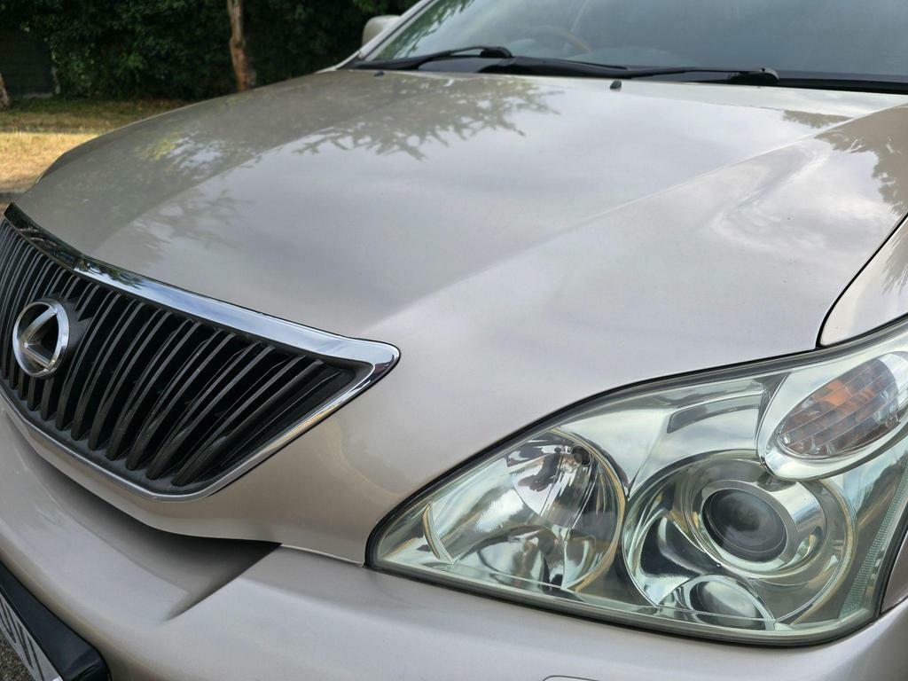 Lexus RX 3.0 300 Se-l Beige #6
