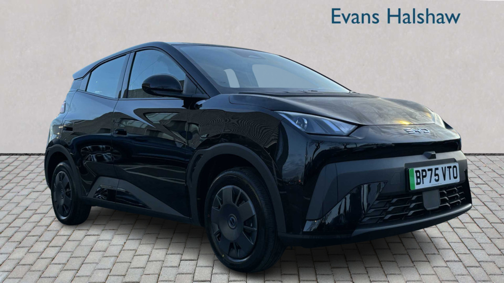 Byd Dolphin 65Kw Active 30Kwh 2025 Black