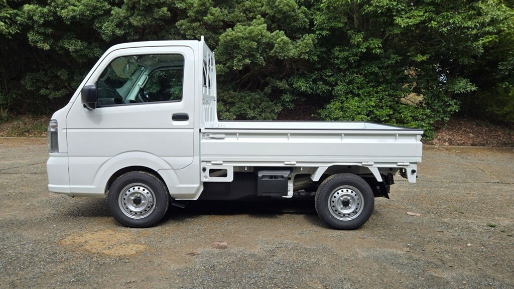 Suzuki Carry 4X4 Manuel White #3