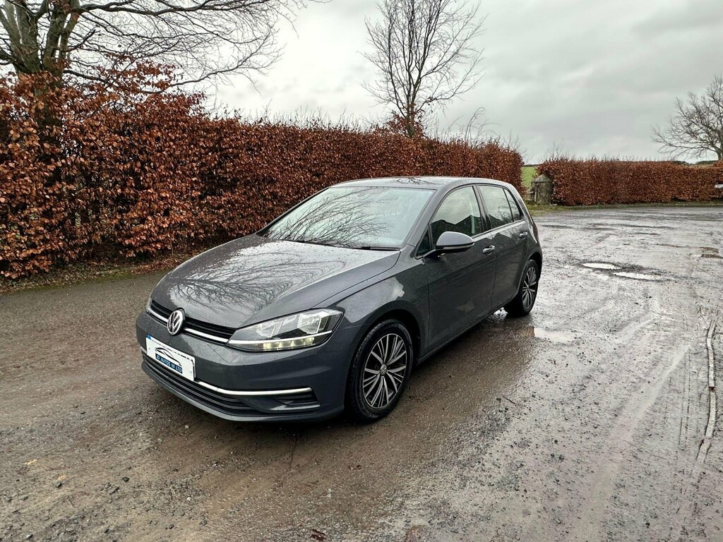 Volkswagen Golf 1.6 Tdi Se Nav Dsg Euro 6 Ss YF67KTU Grey #3