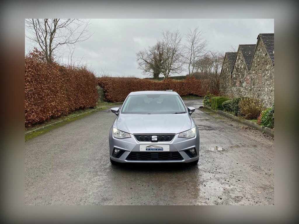 Seat Ibiza 1.6 Tdi Se Technology Euro 6 Ss Dpf Silver