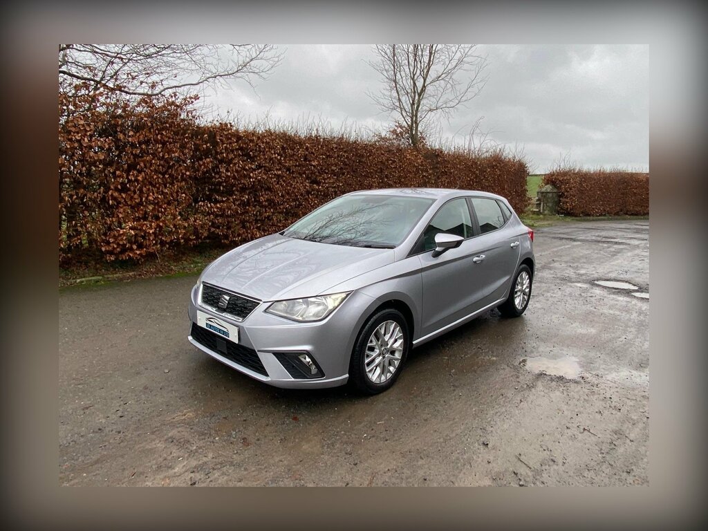 Seat Ibiza 1.6 Tdi Se Technology Euro 6 Ss Dpf Silver #2