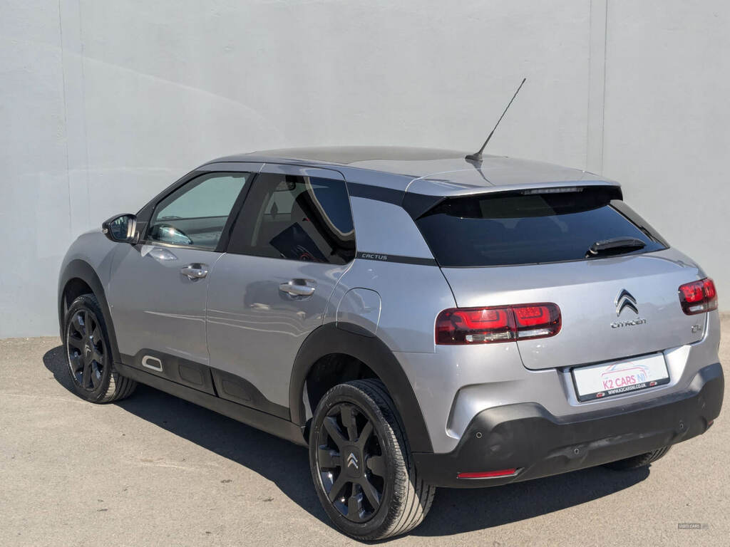 Citroen C4 Cactus 1.6 Bluehdi Flair ME19FMA Grey #6