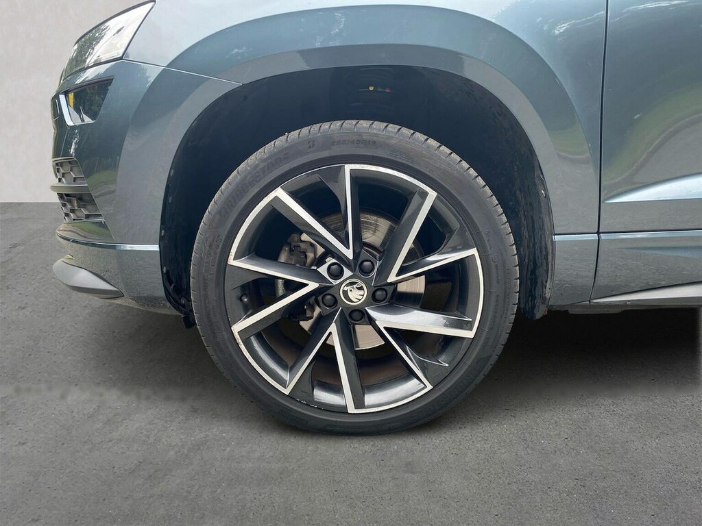 Skoda Karoq 2.0 Tsi 190 Sport Line 4X4 Dsg Grey #6