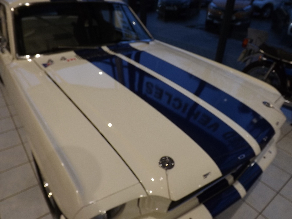 Ford Mustang Fia Approved Race Car White #3