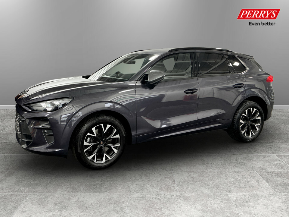 Cupra Terramar 2.0 Tsi 204 V1 Dsg 4Drive PK25KWR Purple #3