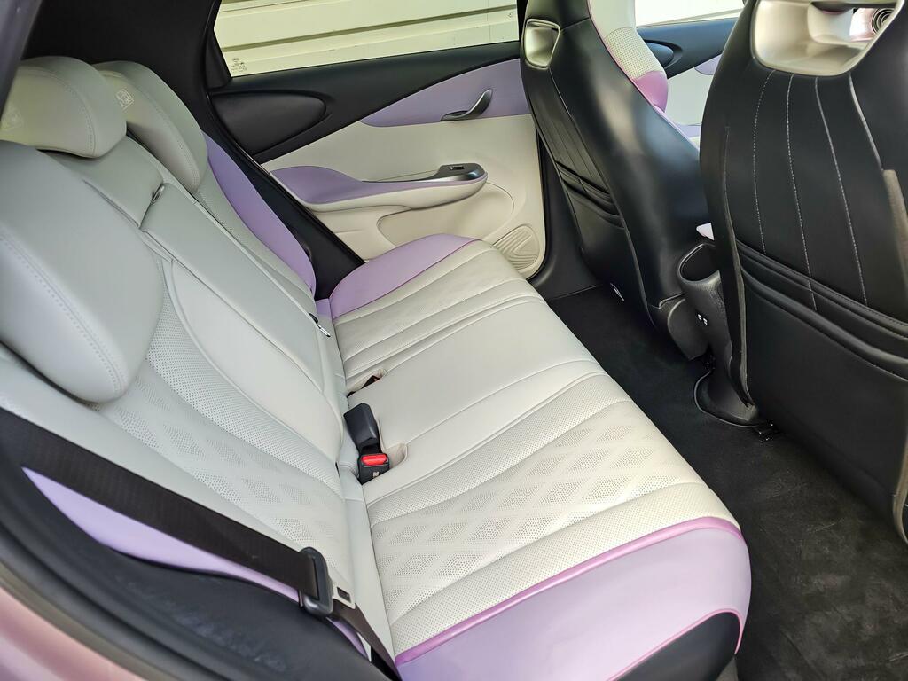Byd Dolphin 60.48Kwh Design #20