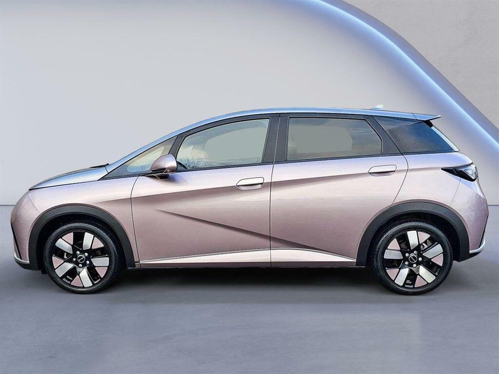 Byd Dolphin 60.48Kwh Design #7