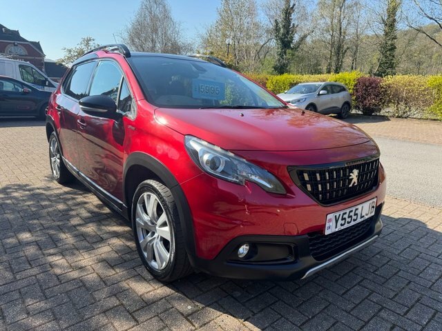 Peugeot 2008 Suv Y555LJB Red #5