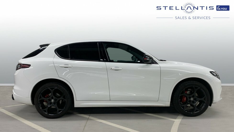 Alfa Romeo Stelvio 2.0T Tributo Italiano Suv Q4 Awd E  #2