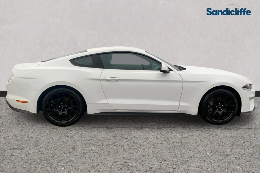 Ford Mustang Mustang 2.3 Ecoboost 2.3 Ecoboost Fastback 6Spd White #3