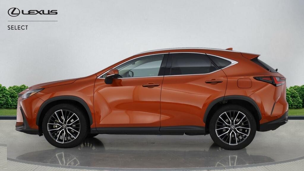 Lexus NX 2.5 450H 18.1Kwh Takumi E-cvt 4Wd Euro 6 Ss WM73SUO #3