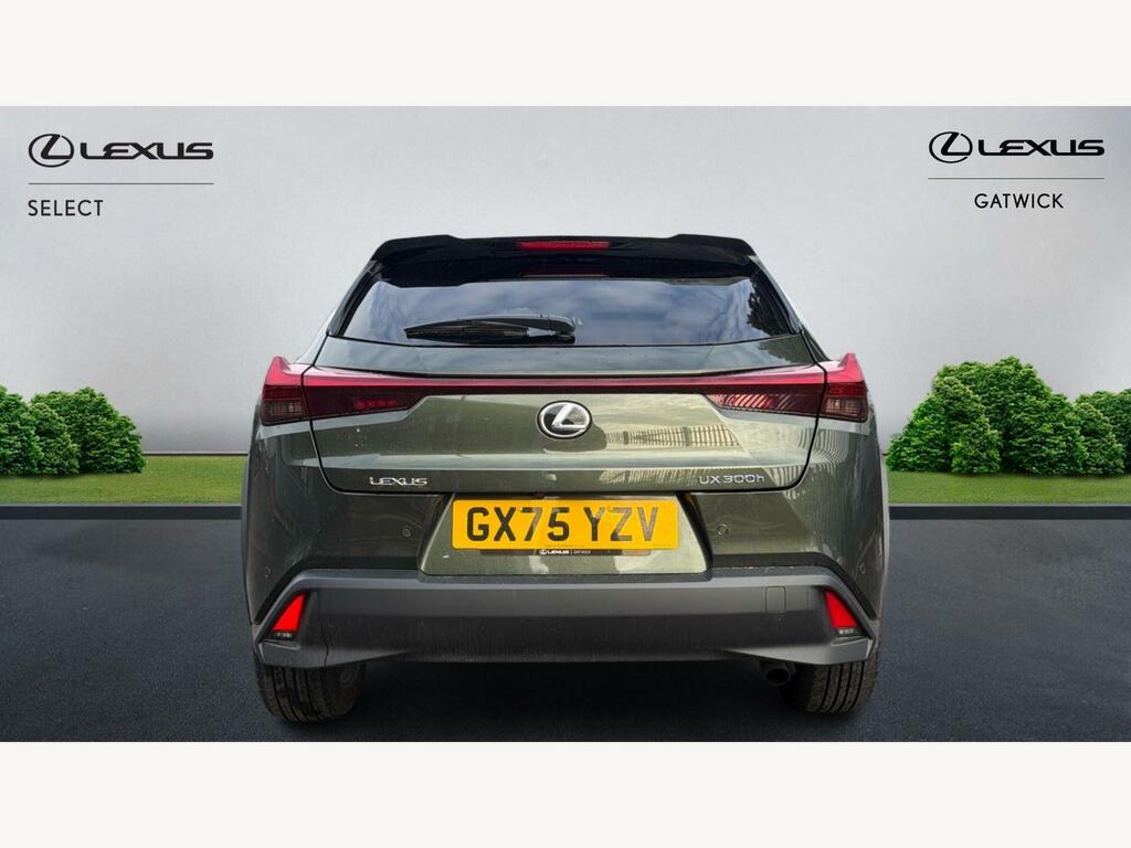 Lexus UX 2.0 300H Premium Plus E-cvt Euro 6 Ss Green #5