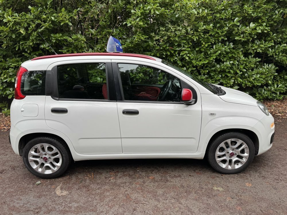 Fiat Panda Easy 1.2 DV15YNP White #4