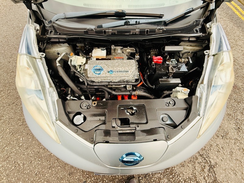 Nissan Leaf Leaf White #21