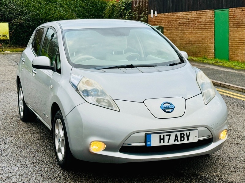 Nissan Leaf Leaf White #19