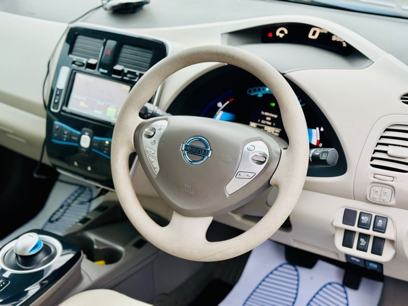 Nissan Leaf Leaf White #10