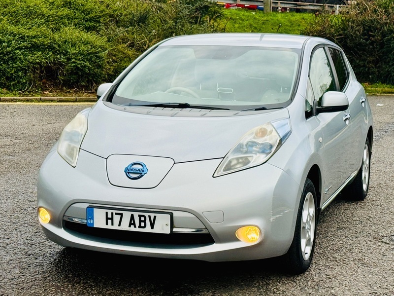 Nissan Leaf Leaf White #20