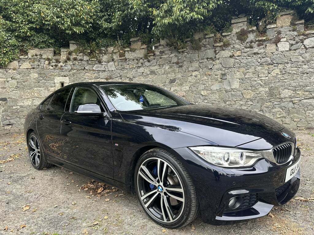 BMW 4 Series 420D 190 M Sport Professional Media Black #3