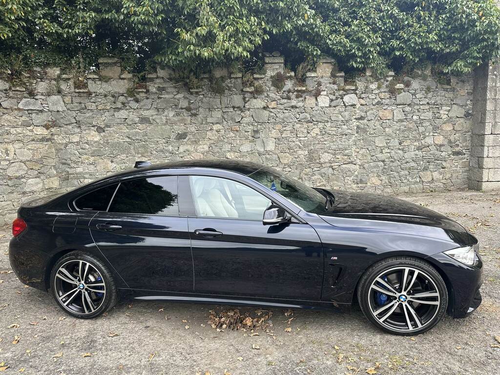 BMW 4 Series 420D 190 M Sport Professional Media Black #2